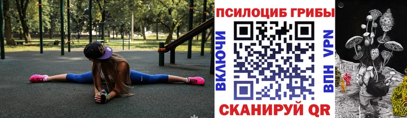 хочу   Канск  Галлюциногенные грибы Psilocybe 