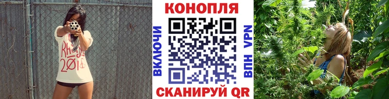 купить наркоту  Канск  Бошки Шишки сатива 